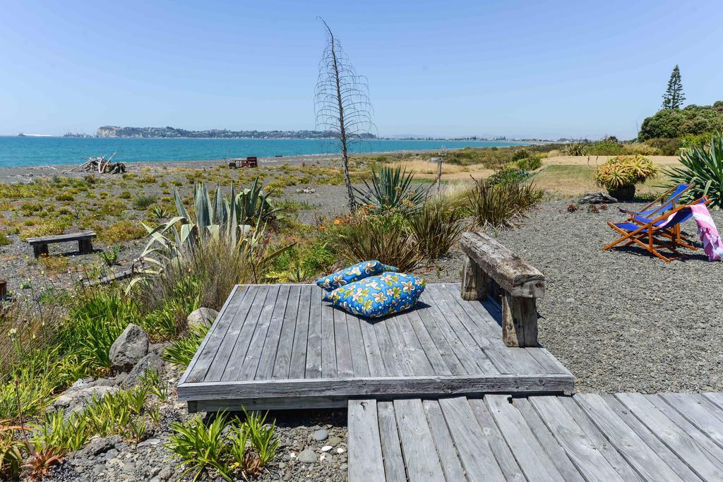 Absolute Beachfront B&B ネーピア エクステリア 写真